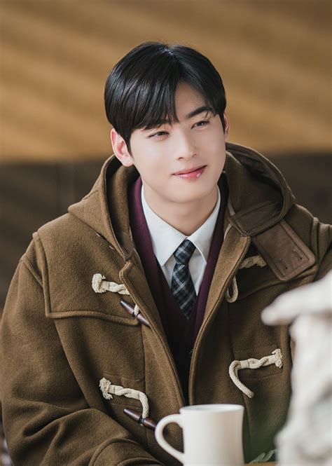 cha eun woo true beauty.